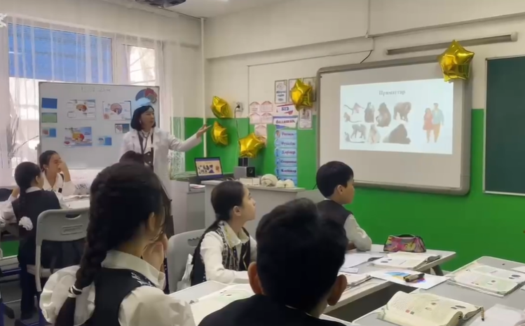 «Ми. Үлкен ми сыңары»