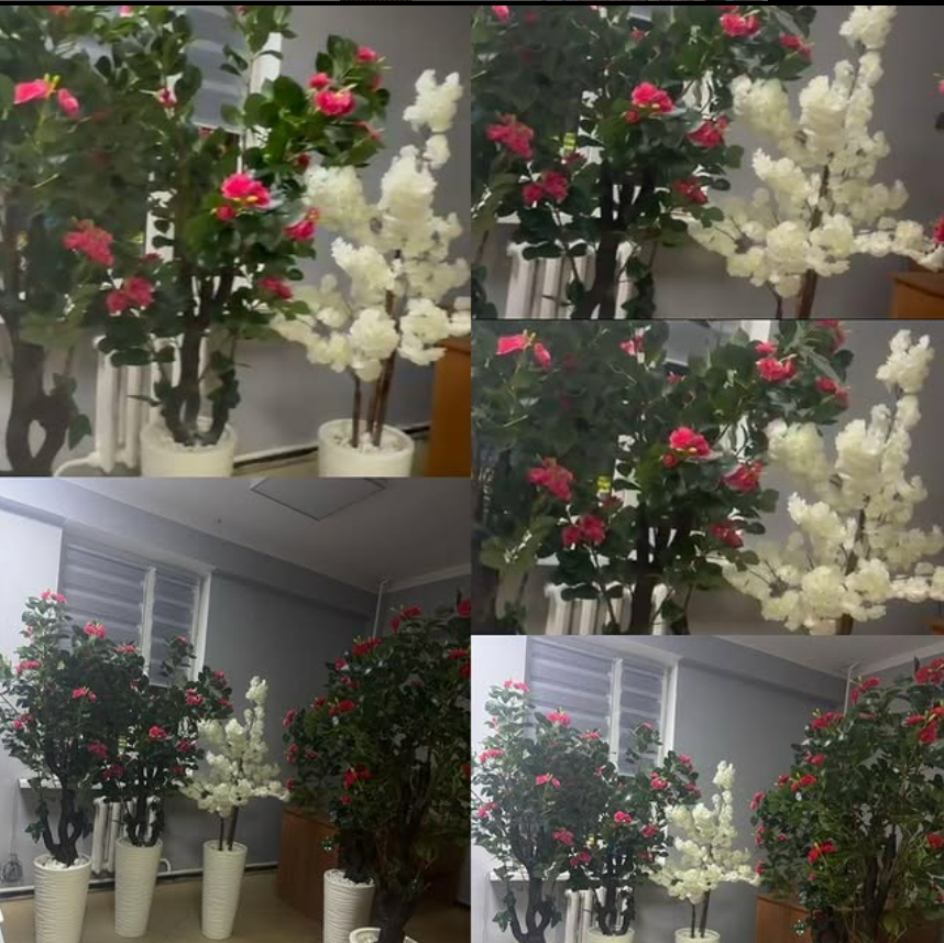 “Еңбекқорлық және кәсіби біліктілік